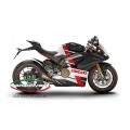 Carbonvani - Ducati Panigale V4 / S / Speciale "JENA" Design Carbon Fiber Full Fairing Kit - ROAD VERSION (8 pieces)